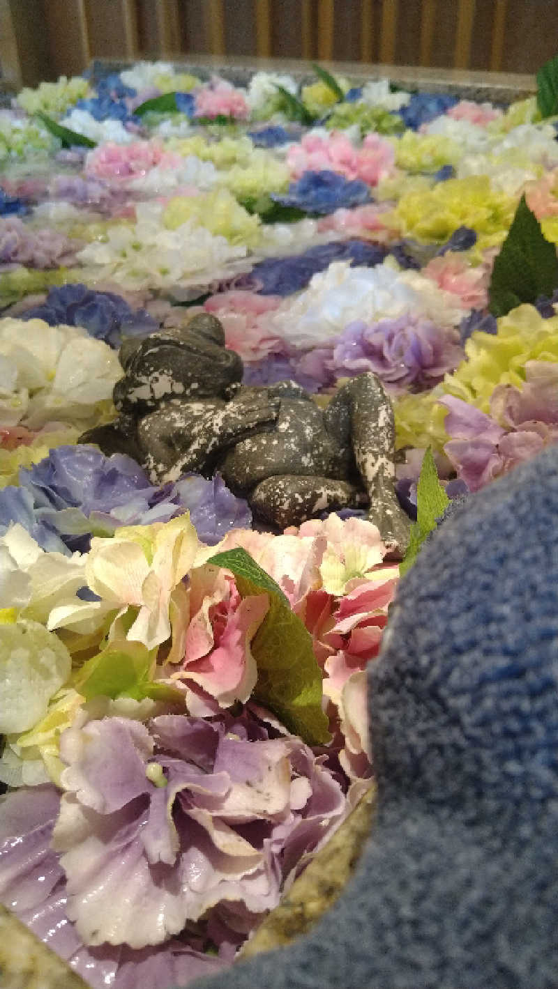 ムラたんさんの綱島源泉 湯けむりの庄のサ活写真