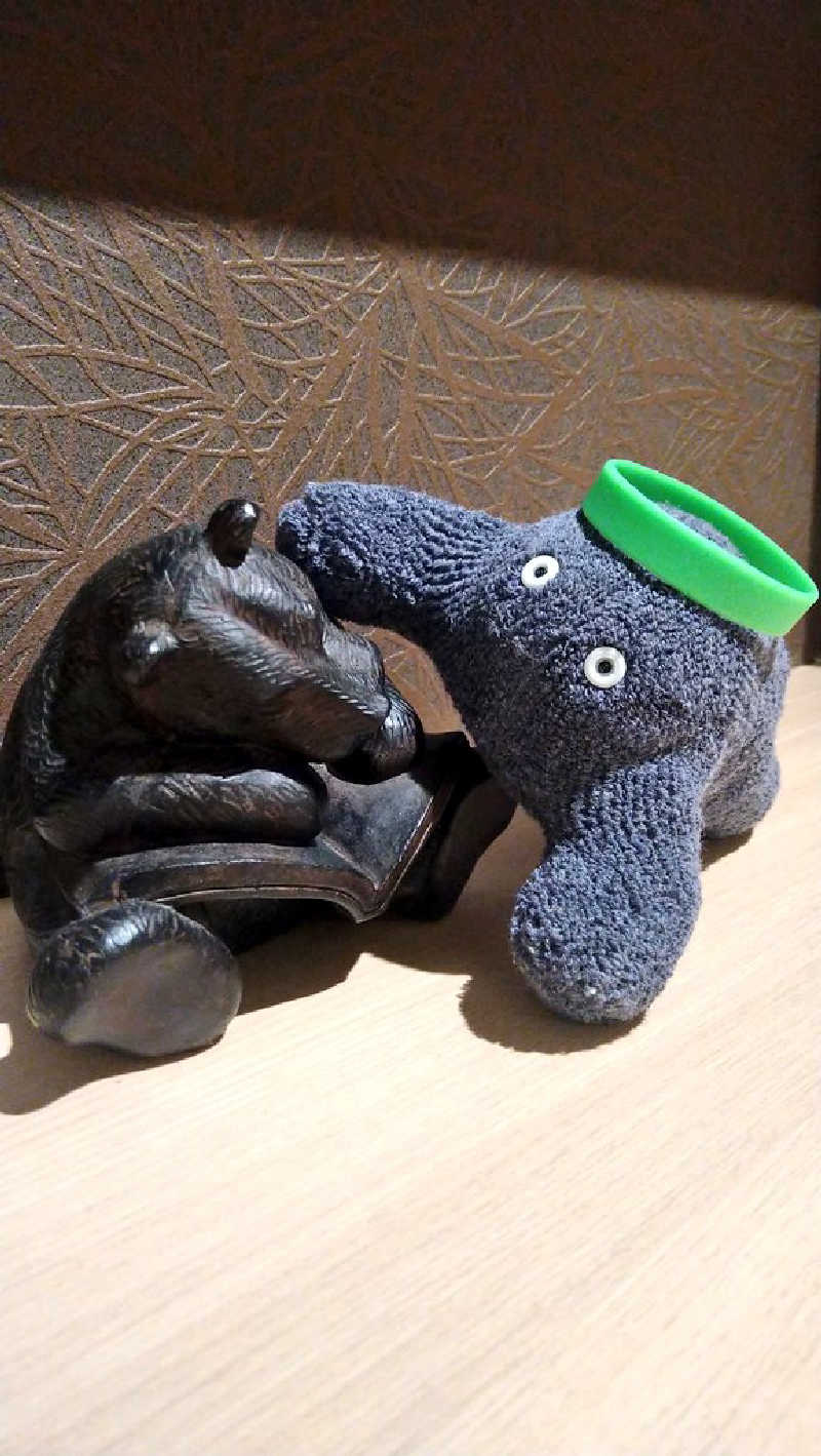 ムラたんさんの綱島源泉 湯けむりの庄のサ活写真