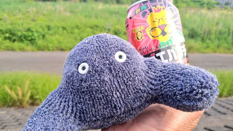 ムラたんさんの綱島源泉 湯けむりの庄のサ活写真