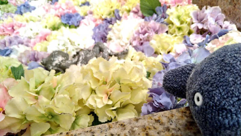 ムラたんさんの綱島源泉 湯けむりの庄のサ活写真