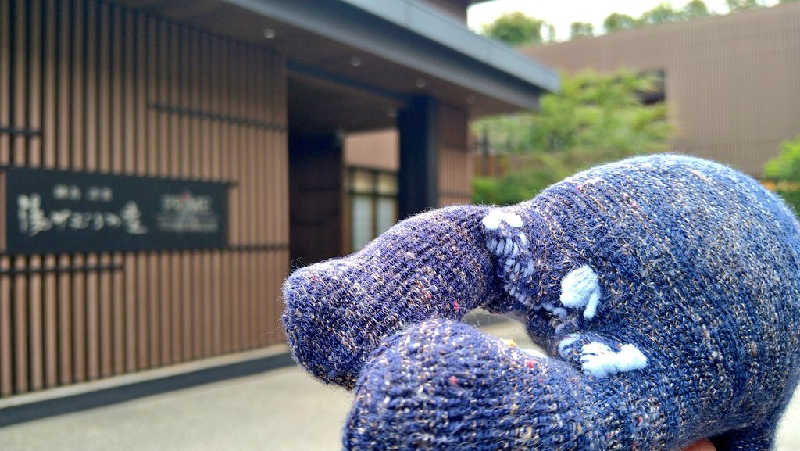 ムラたんさんの綱島源泉 湯けむりの庄のサ活写真