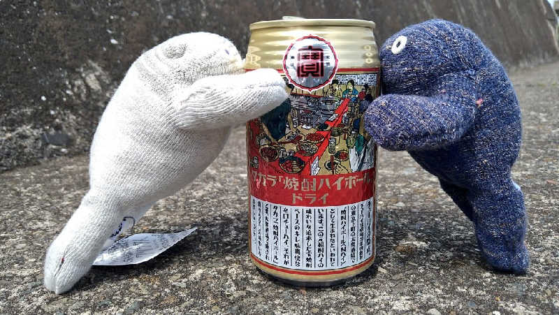 ムラたんさんの綱島源泉 湯けむりの庄のサ活写真