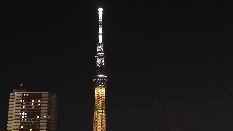 ムラたんさんの綱島源泉 湯けむりの庄のサ活写真