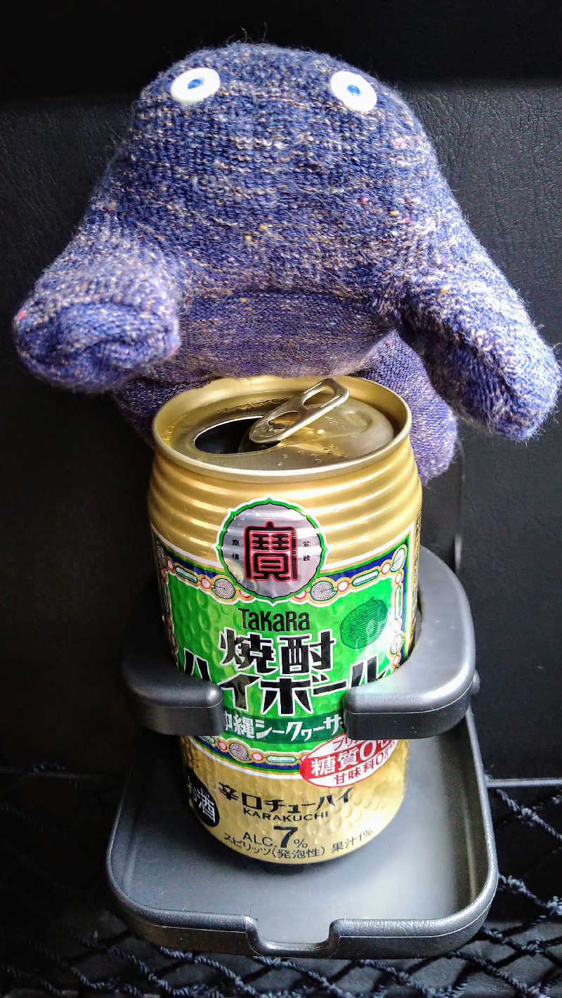 ムラたんさんの綱島源泉 湯けむりの庄のサ活写真