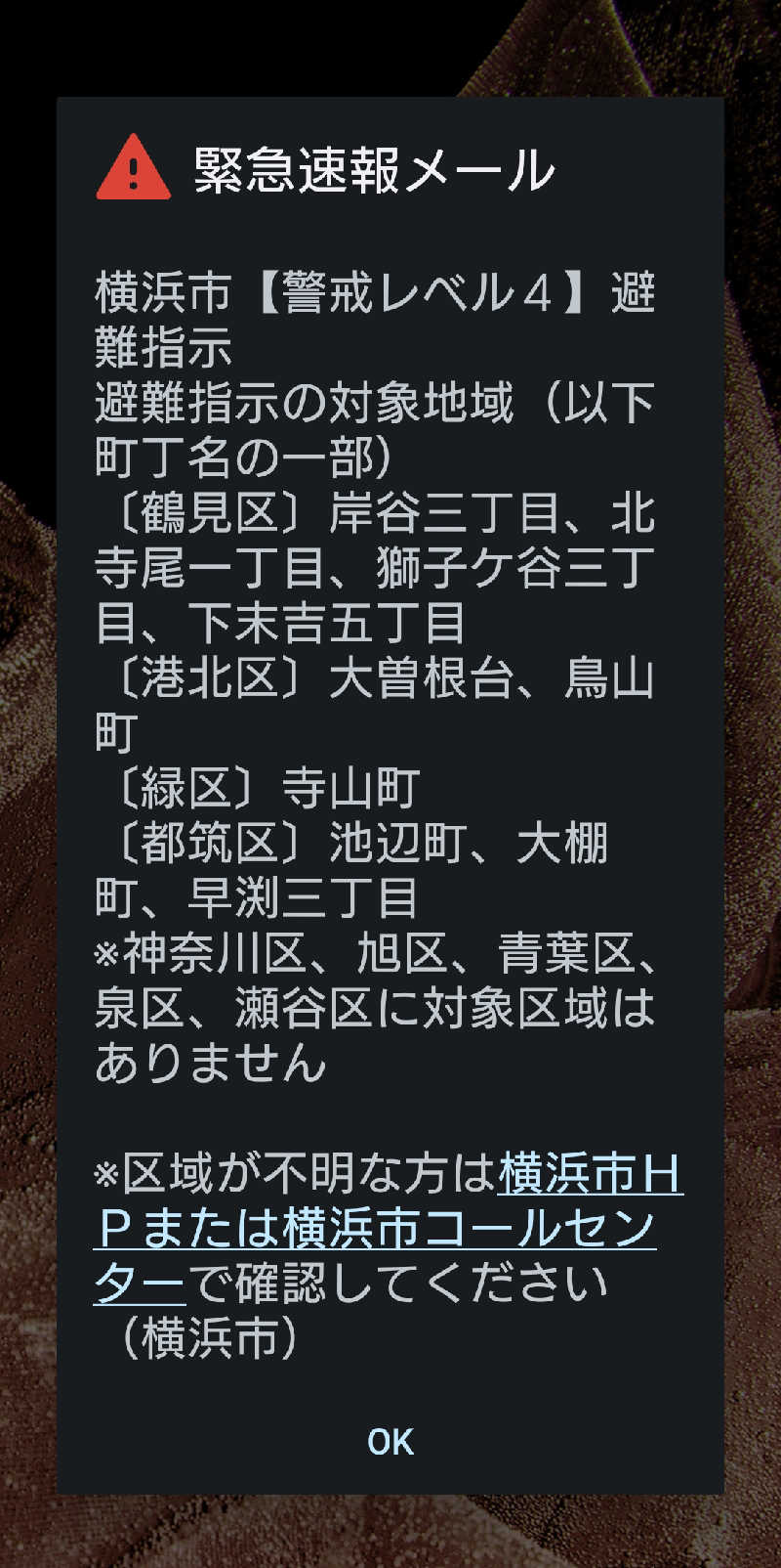 ムラたんさんの綱島源泉 湯けむりの庄のサ活写真