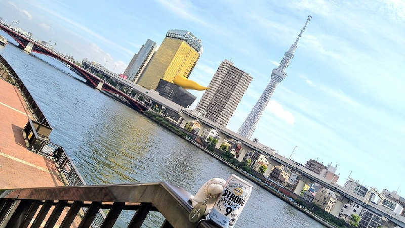 ムラたんさんの綱島源泉 湯けむりの庄のサ活写真