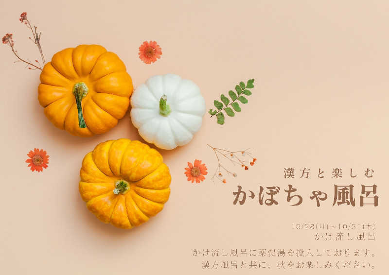 ムラたんさんの綱島源泉 湯けむりの庄のサ活写真