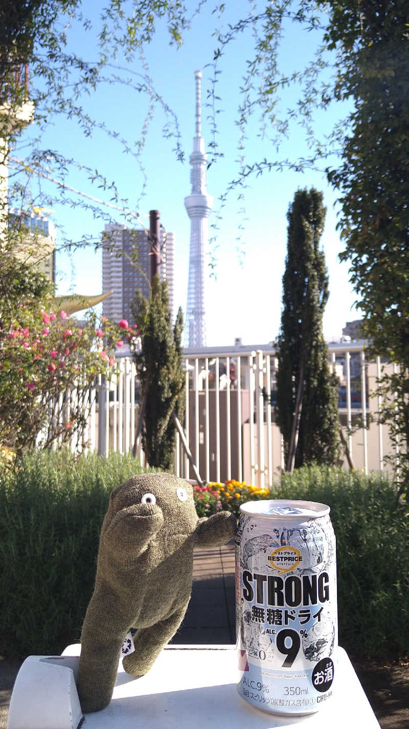 ムラたんさんの綱島源泉 湯けむりの庄のサ活写真