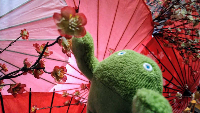 ムラたんさんの綱島源泉 湯けむりの庄のサ活写真
