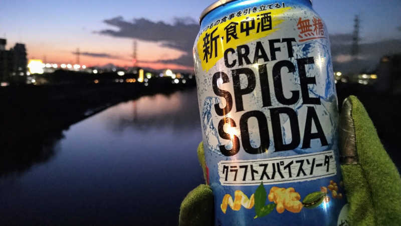 ムラたんさんの綱島源泉 湯けむりの庄のサ活写真