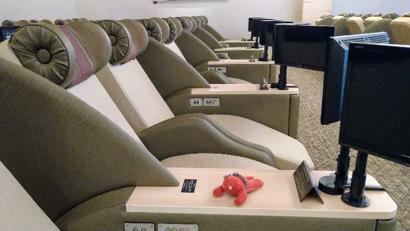 ムラたんさんの綱島源泉 湯けむりの庄のサ活写真