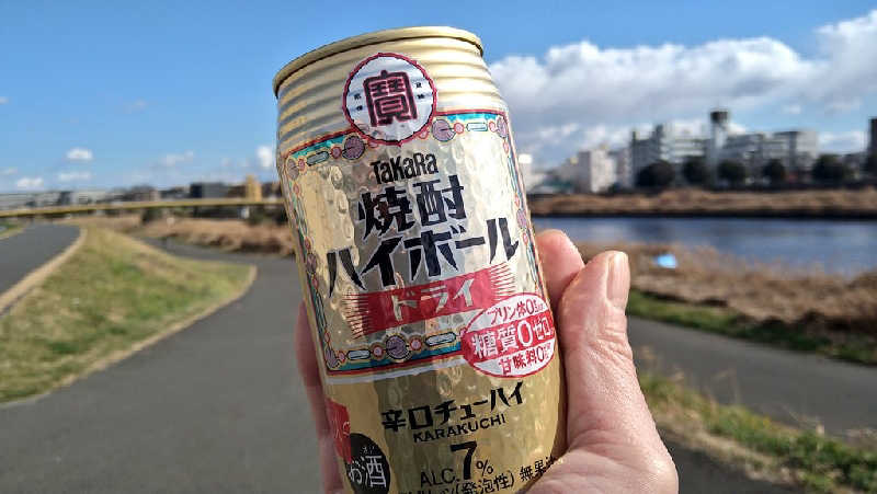 ムラたんさんの綱島源泉 湯けむりの庄のサ活写真