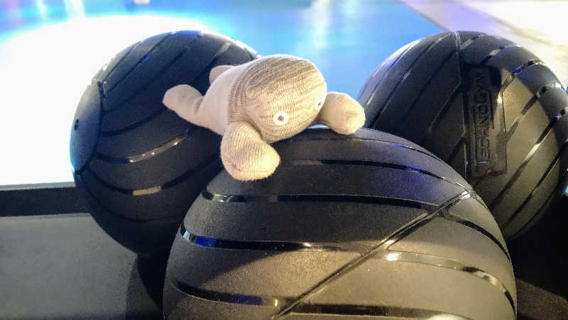 ムラたんさんのジェクサー・フィットネス&スパ24川崎のサ活写真