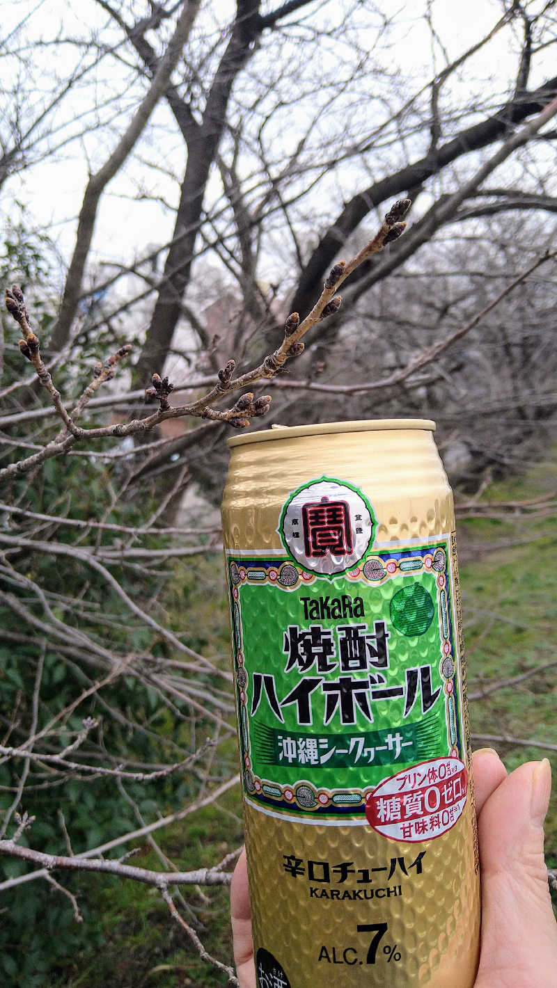 ムラたんさんの綱島源泉 湯けむりの庄のサ活写真