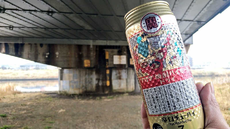 ムラたんさんの綱島源泉 湯けむりの庄のサ活写真