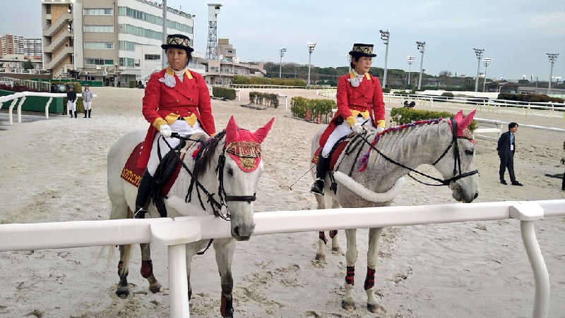 ムラたんさんの綱島源泉 湯けむりの庄のサ活写真