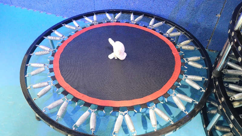 ムラたんさんのジェクサー・フィットネス&スパ24川崎のサ活写真