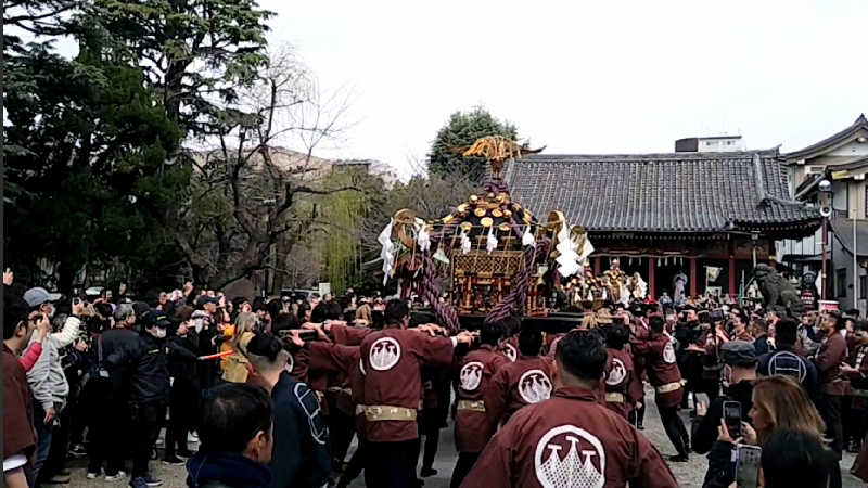 ムラたんさんの綱島源泉 湯けむりの庄のサ活写真