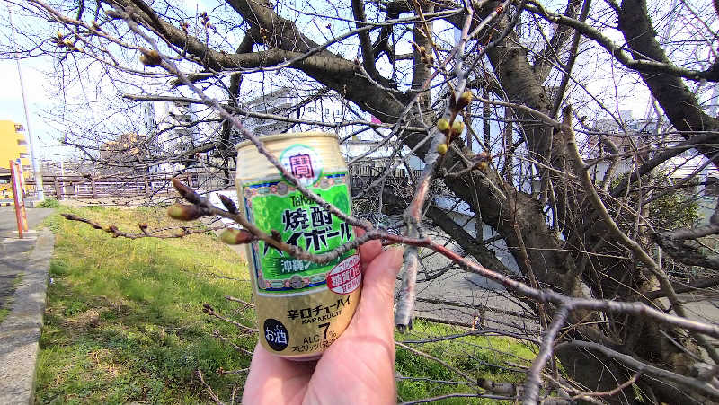 ムラたんさんの綱島源泉 湯けむりの庄のサ活写真