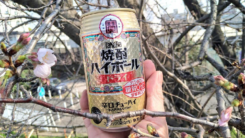 ムラたんさんの綱島源泉 湯けむりの庄のサ活写真