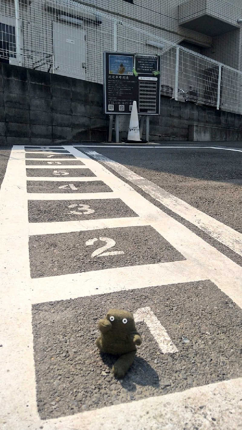 ムラたんさんの綱島源泉 湯けむりの庄のサ活写真