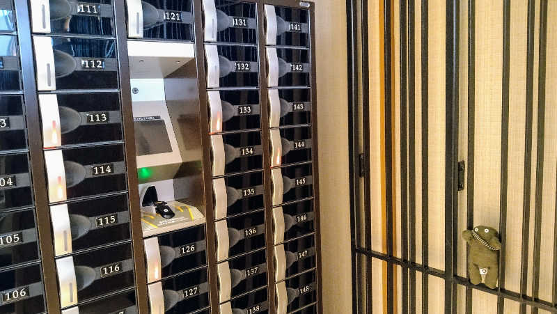 ムラたんさんの綱島源泉 湯けむりの庄のサ活写真