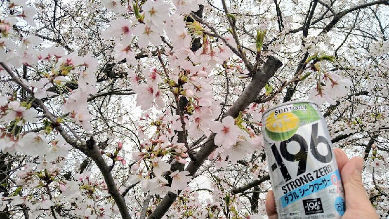 ムラたんさんの綱島源泉 湯けむりの庄のサ活写真