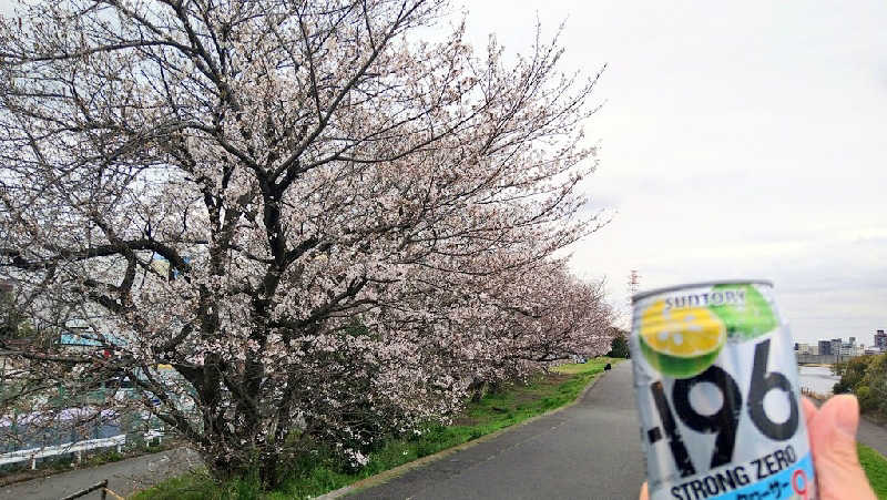 ムラたんさんの綱島源泉 湯けむりの庄のサ活写真
