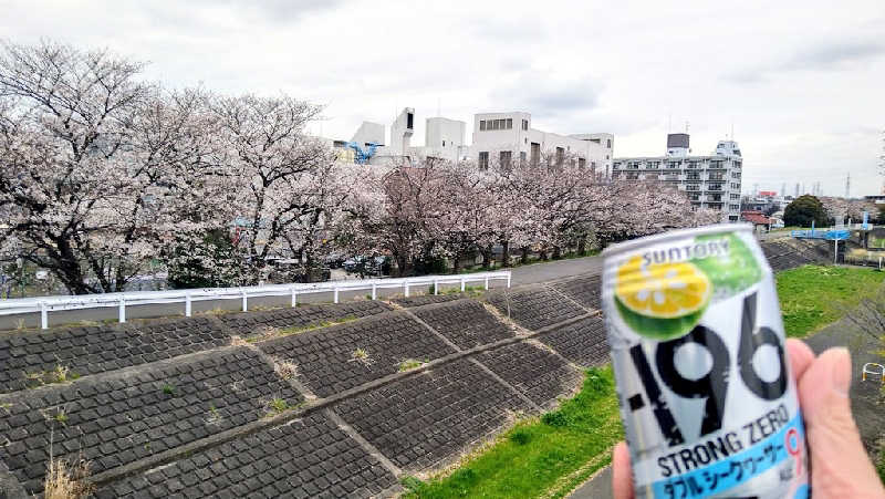 ムラたんさんの綱島源泉 湯けむりの庄のサ活写真