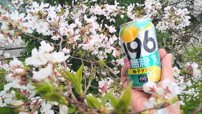 ムラたんさんの綱島源泉 湯けむりの庄のサ活写真