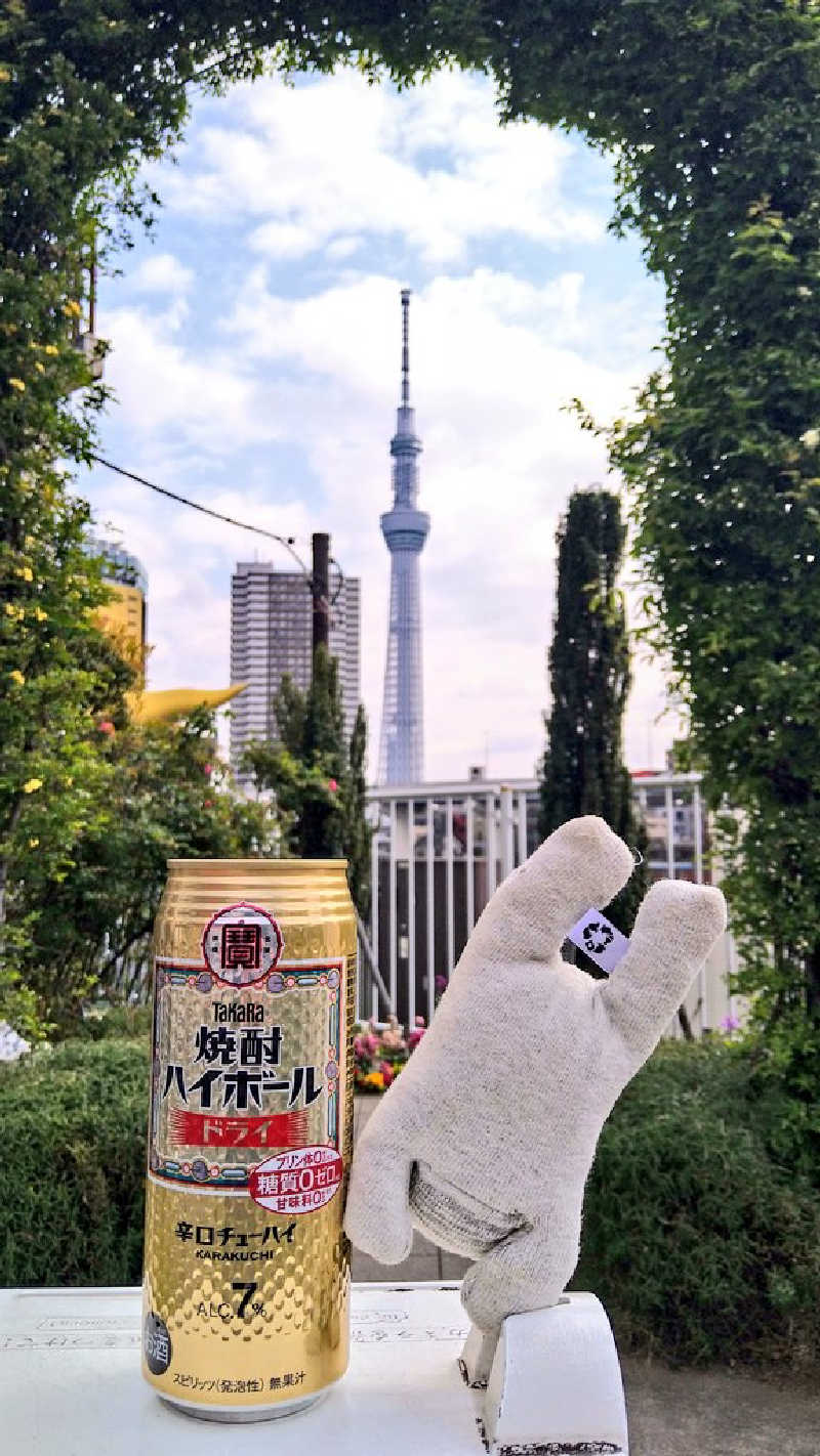 ムラたんさんの綱島源泉 湯けむりの庄のサ活写真