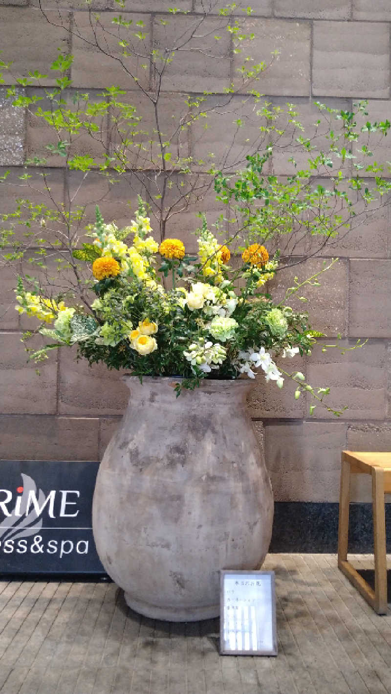 ムラたんさんの綱島源泉 湯けむりの庄のサ活写真