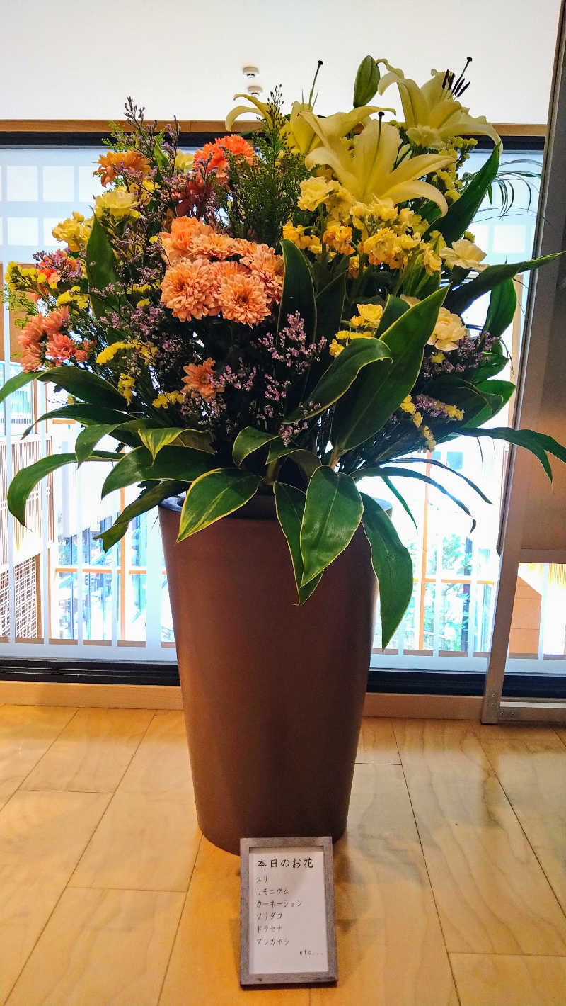 ムラたんさんの綱島源泉 湯けむりの庄のサ活写真