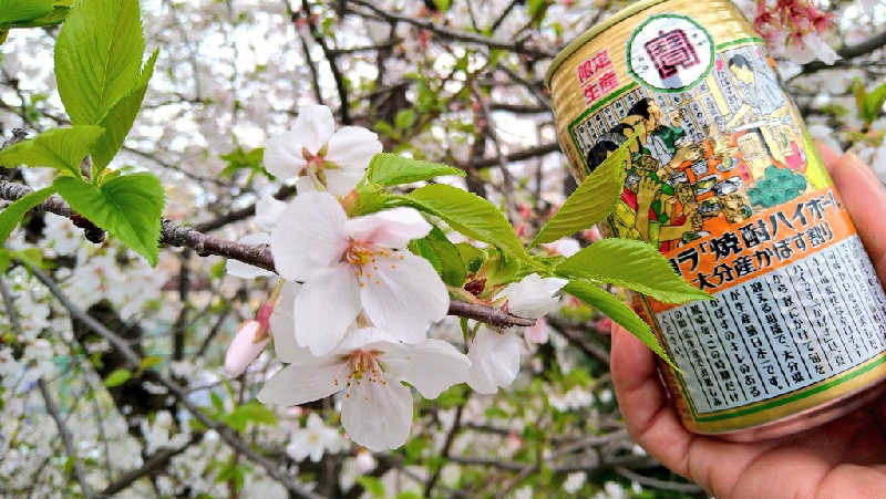 ムラたんさんの綱島源泉 湯けむりの庄のサ活写真