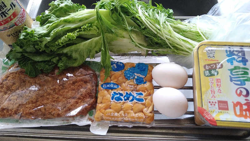 ムラたんさんの綱島源泉 湯けむりの庄のサ活写真