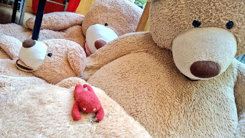 ムラたんさんの綱島源泉 湯けむりの庄のサ活写真