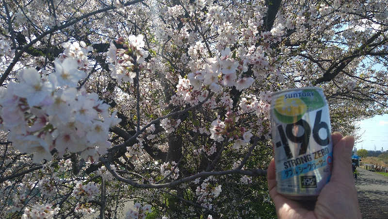 ムラたんさんの綱島源泉 湯けむりの庄のサ活写真