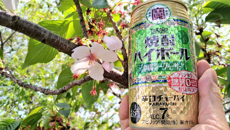 ムラたんさんの綱島源泉 湯けむりの庄のサ活写真