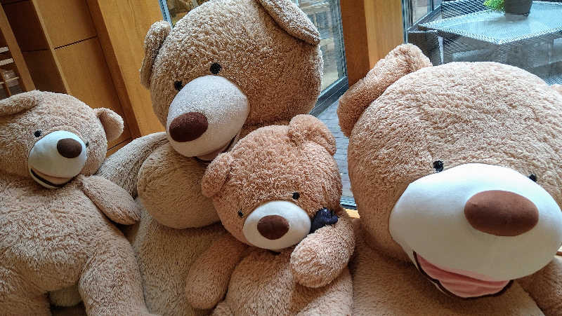 ムラたんさんの綱島源泉 湯けむりの庄のサ活写真