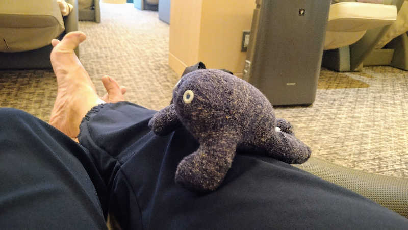 ムラたんさんの綱島源泉 湯けむりの庄のサ活写真