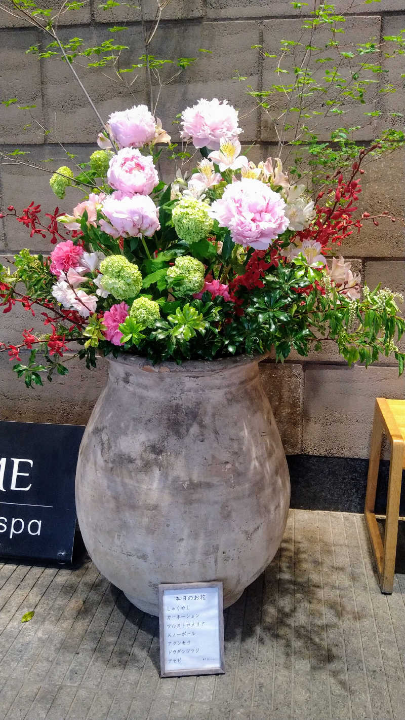 ムラたんさんの綱島源泉 湯けむりの庄のサ活写真