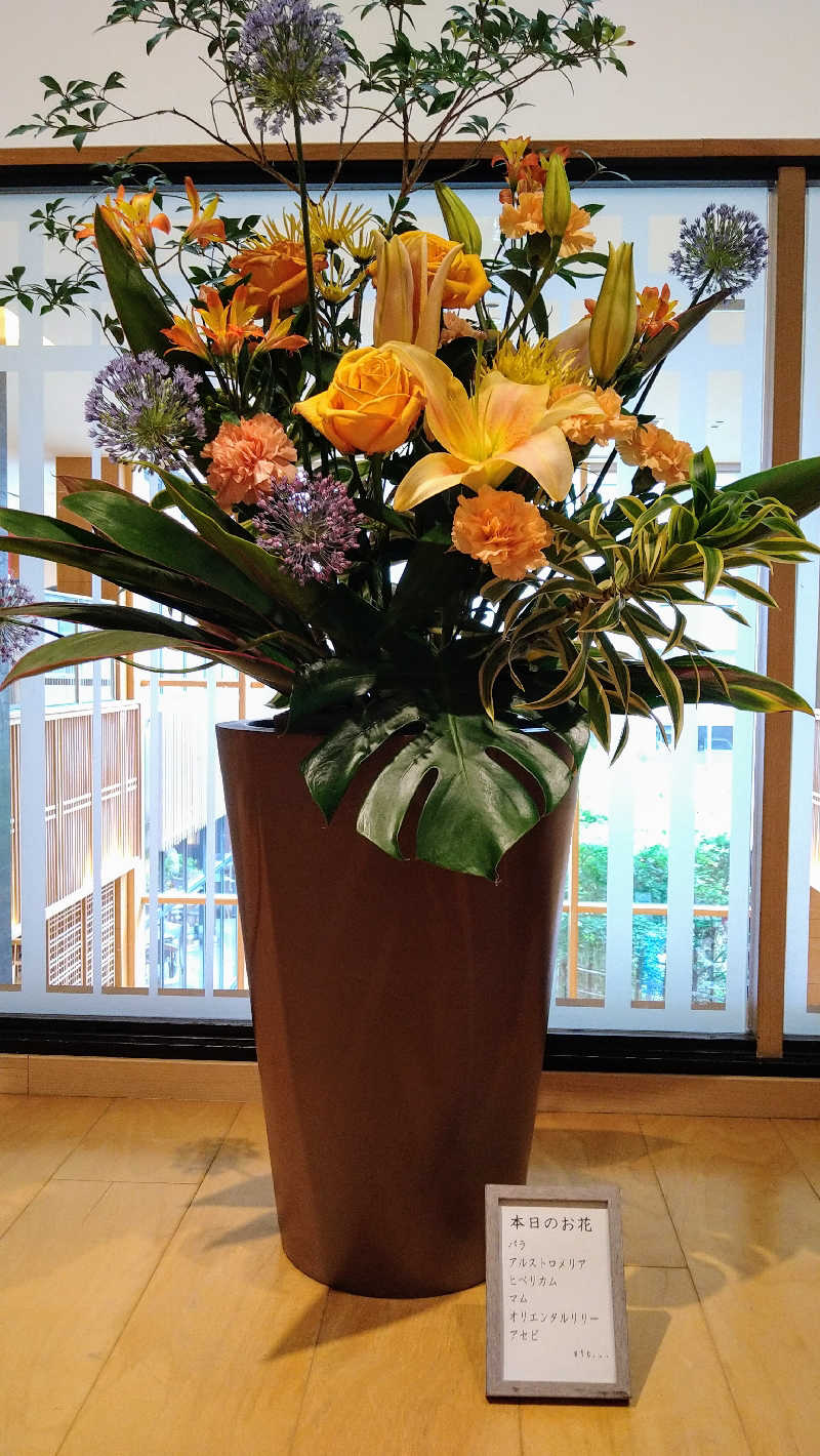 ムラたんさんの綱島源泉 湯けむりの庄のサ活写真