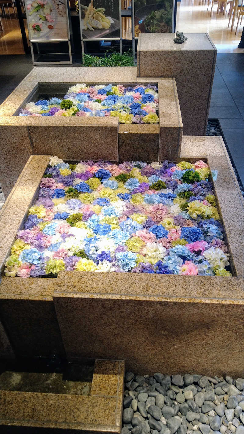 ムラたんさんの綱島源泉 湯けむりの庄のサ活写真