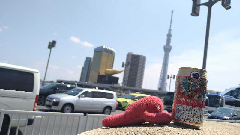 ムラたんさんの綱島源泉 湯けむりの庄のサ活写真