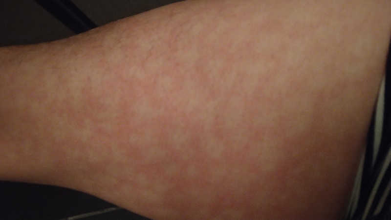 ムラたんさんの綱島源泉 湯けむりの庄のサ活写真