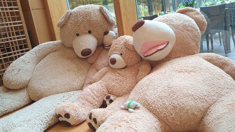 ムラたんさんの綱島源泉 湯けむりの庄のサ活写真