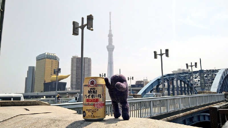 ムラたんさんの綱島源泉 湯けむりの庄のサ活写真