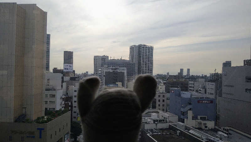 ムラたんさんのジェクサー・フィットネス&スパ 大井町のサ活写真