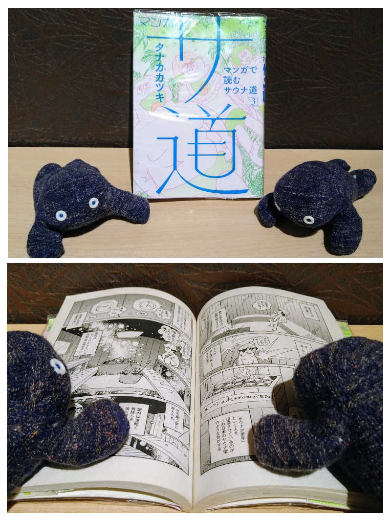 ムラたんさんの綱島源泉 湯けむりの庄のサ活写真