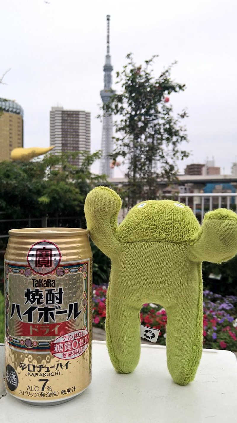 ムラたんさんの綱島源泉 湯けむりの庄のサ活写真